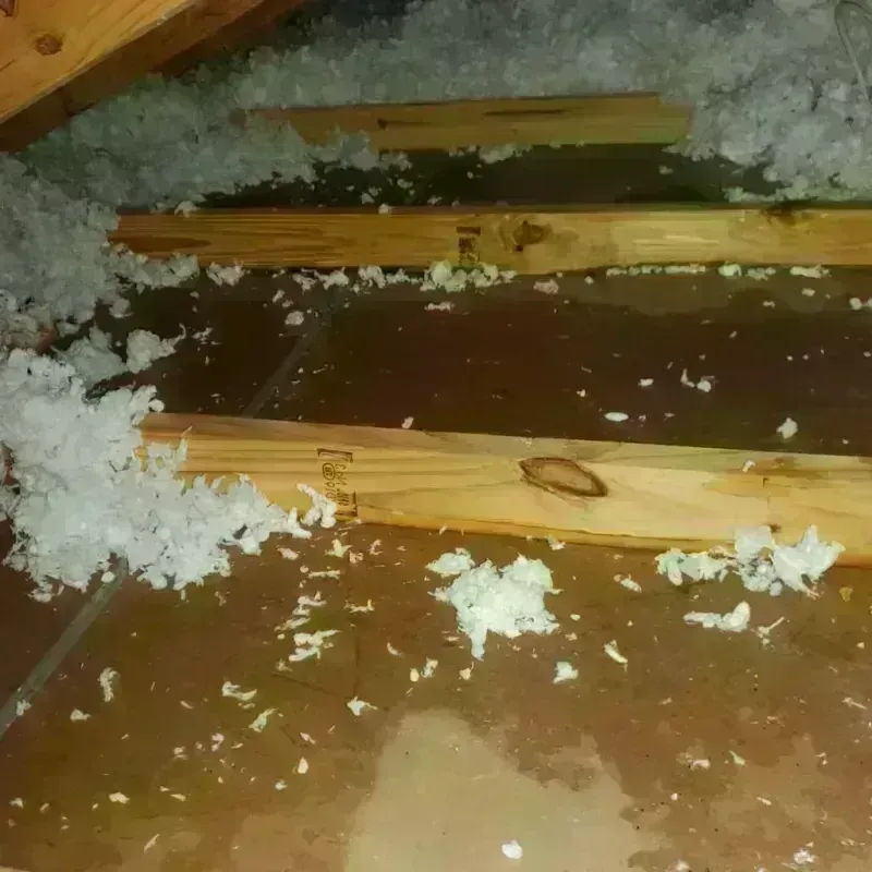 Attic Water Damage in Lakeside, OR